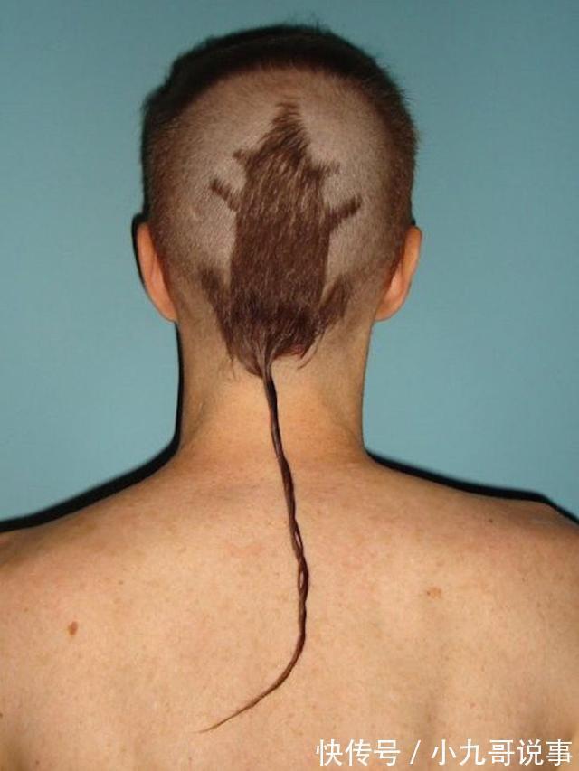 海绵宝宝 21次理发失败,发型逆天,最后一张图让人捧腹大笑