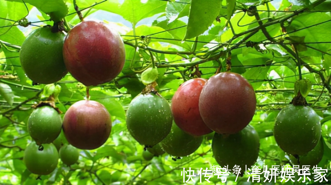 排毒养颜|女性养生,好食物坚持吃,排毒消脂,补水润肤,吃了变年轻了