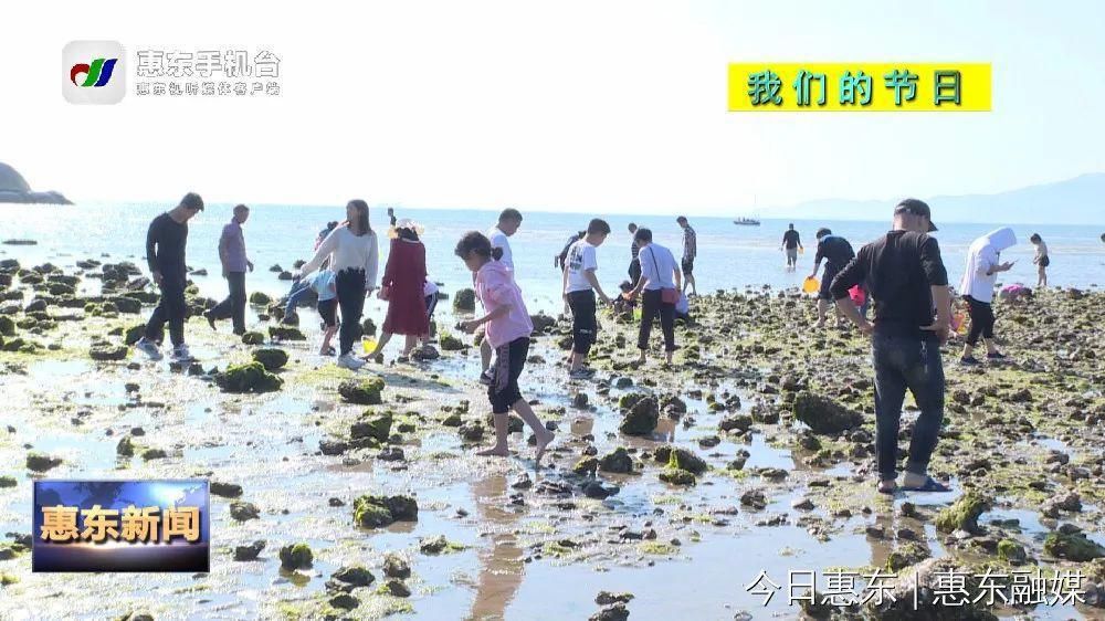 春节假期巽寮湾吸引大批游客前来赶海“挖宝”