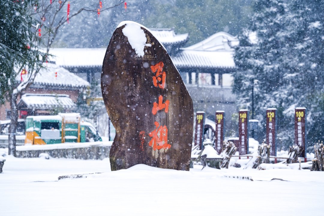 一夜之间|赏绝美雪景，邂逅野生小动物！