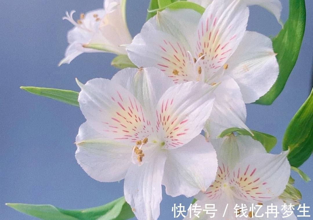 曾国藩&《道德经》有格局的人,守其雌,守其黑,守其辱,反而,有大作为