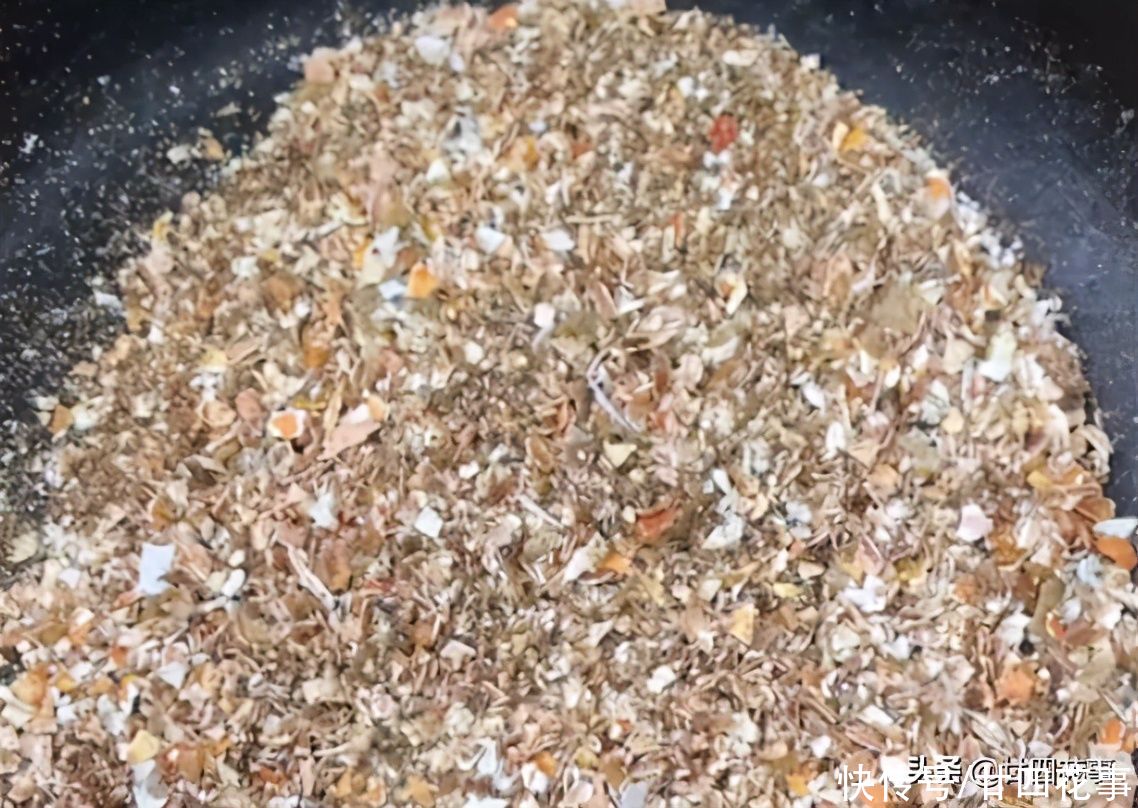 春节常见4种“废壳”，是养花“宝贝”，透气疏水，补肥效果好