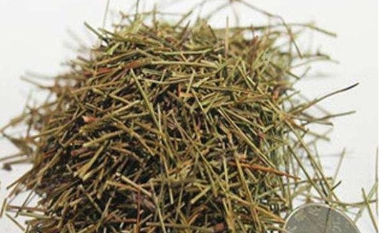 营养土不要买,出门捡几种“垃圾”扔盆里,疏松透气、不烂根