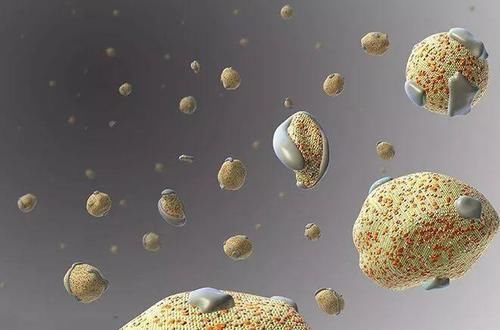 偏高|查出低密度脂蛋白偏高的人，提醒：这些食物建议少吃