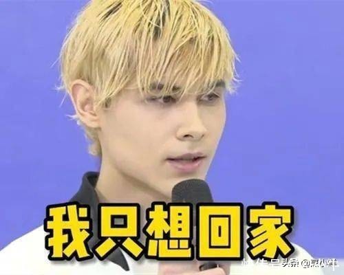 真人秀 利路修背后,是一场人设「骗局」丨鲜观