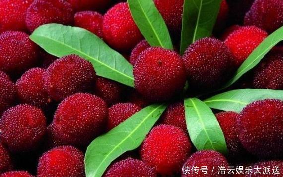 孩子|4种常见水果,有营养但含有大量寄生虫,父母不能让孩子多吃