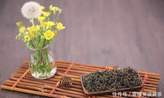 药草|蒲公英号称“药草皇后”,可医生说:喝蒲公英水要注意两件事
