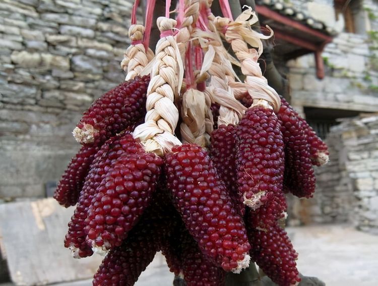 含有|早起空腹吃3种食物，坚持一月，肚子上的赘肉一点点消失