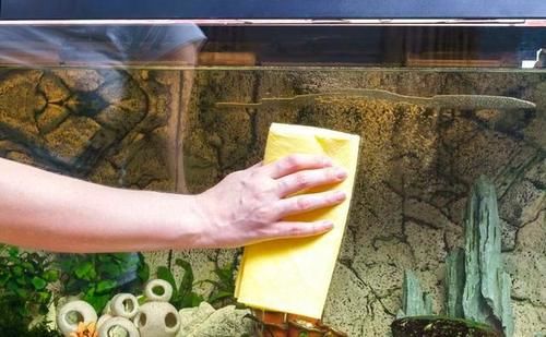  碳酸钙|怎样清除鱼缸内壁上的水垢？