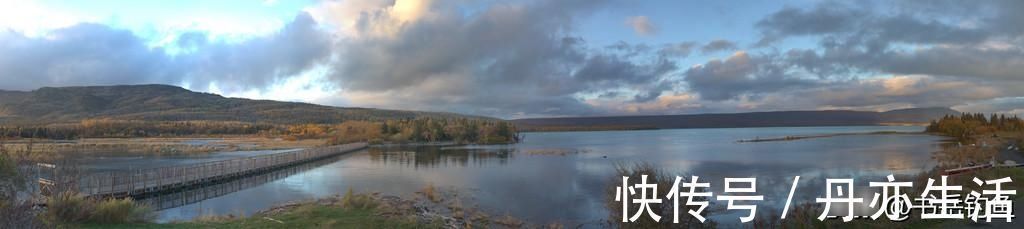 原材料|钓鱼时常用的酒米窝料,其实是可以这样生产的,制作方法简单易学