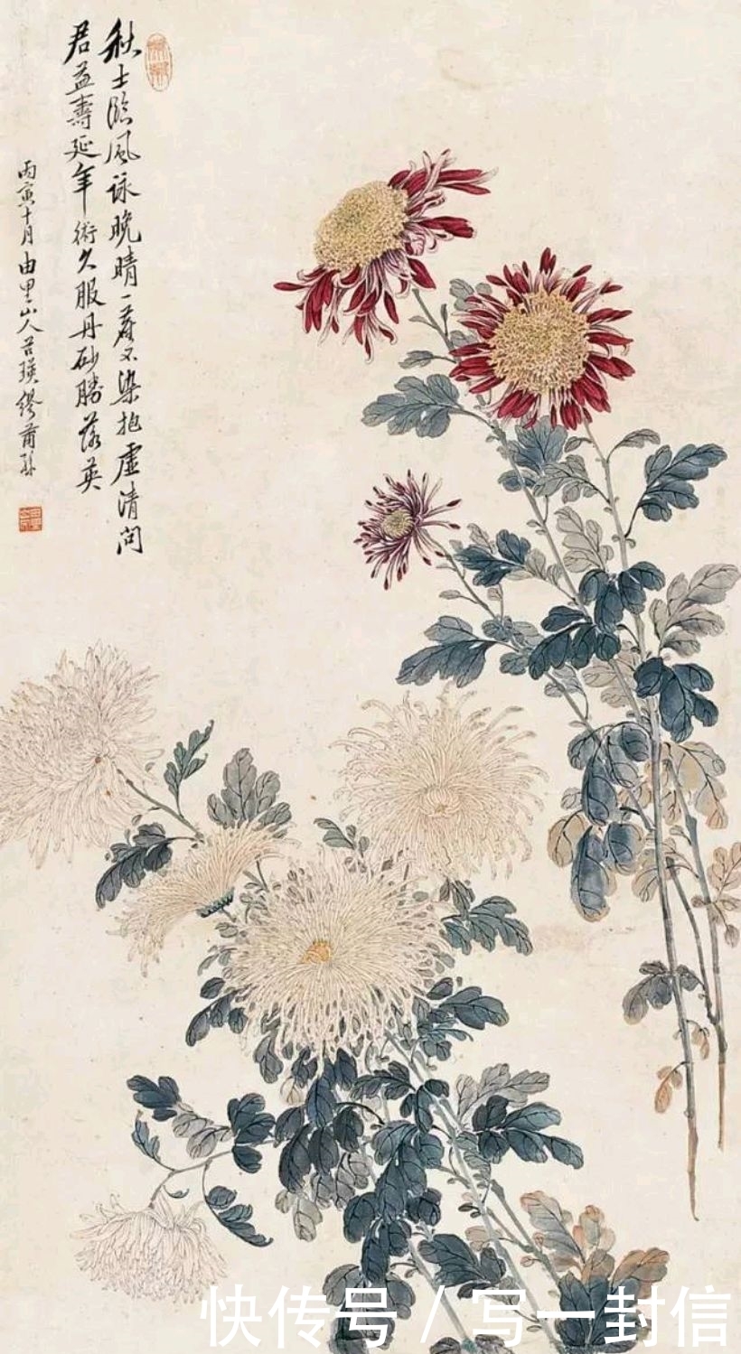 C80,王雪涛、齐白石等人菊花图欣赏