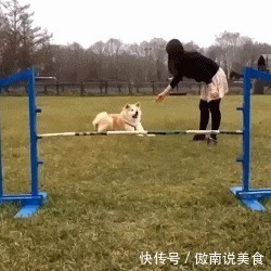 |搞笑GIF:单身久了真可怕 看什么都觉得在看美女