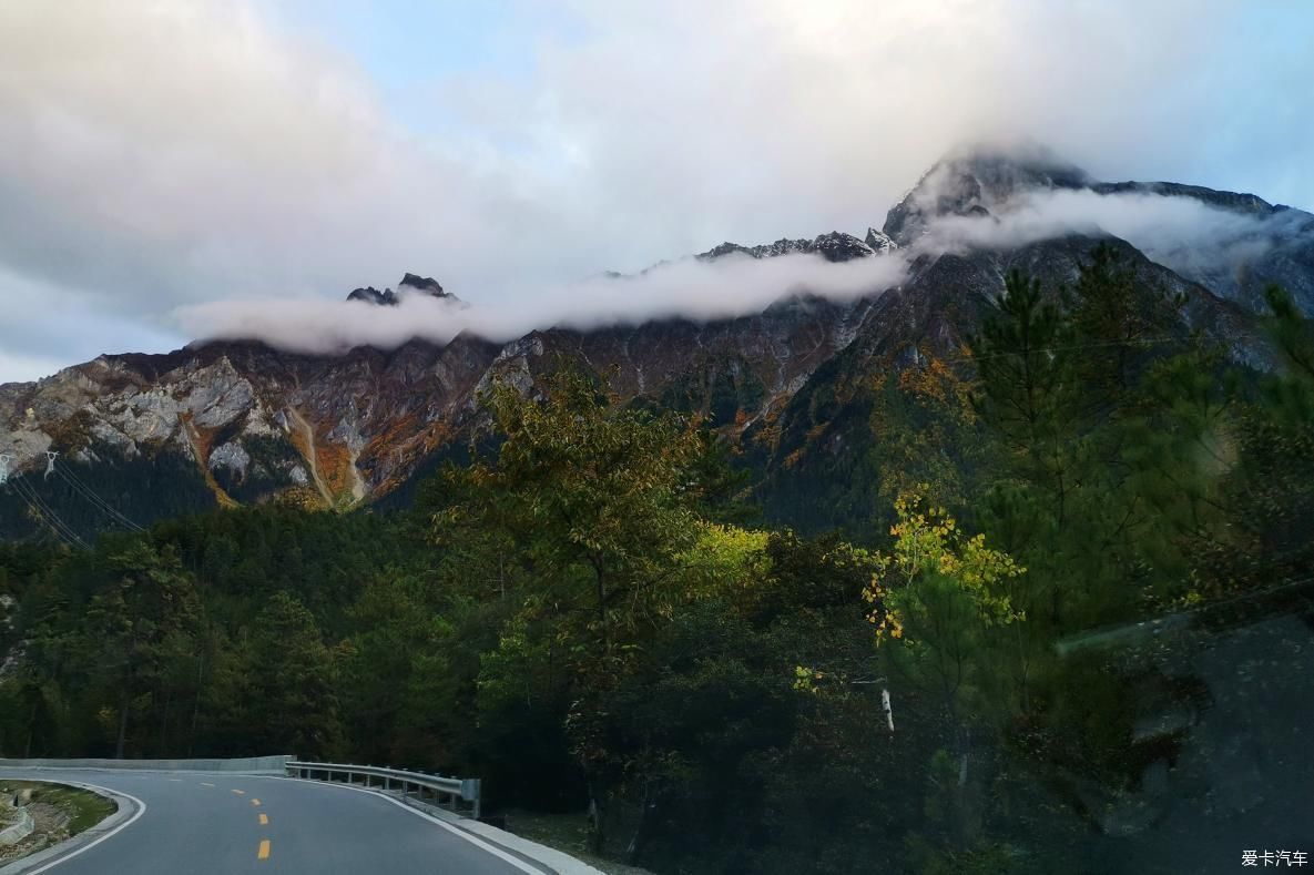 独自自驾游 欣赏最美的岗云杉林 体验环藏之旅的慢生活