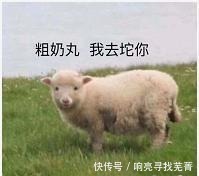 指南|带上这份绿色活力出发指南,跟着“观星团”一起看星星!