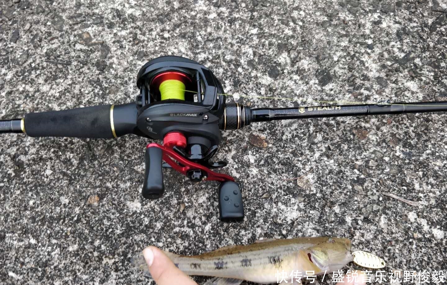 亮片|立夏后,作钓白条的几点技巧,一般人真不知道