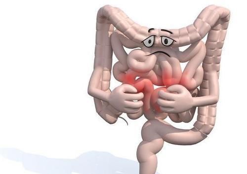 肠道的天然“清洁工”，每天吃一点，清理肠道毒素，健康更长寿