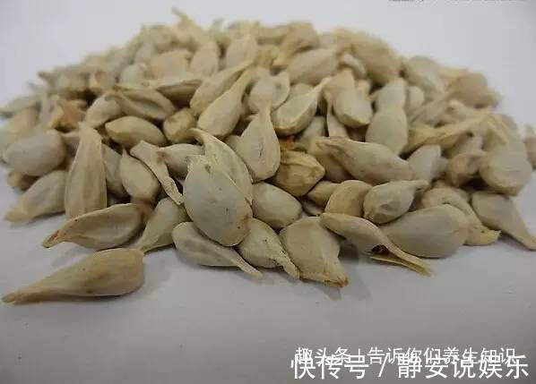 用途|橘子籽可是个宝，别再丢掉了，没想到还有如此用途，早知早好