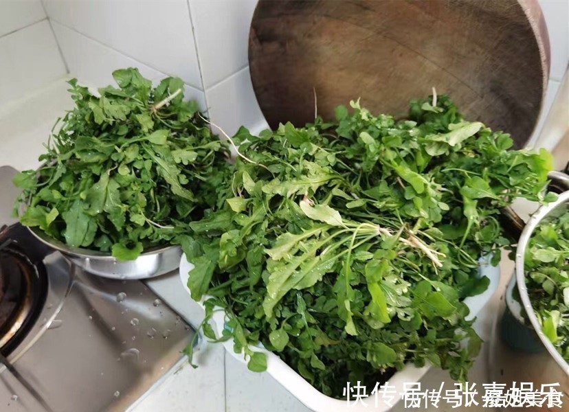 白菜|冬天用它包饺子,比白菜萝卜鲜,再贵也要吃,我家一周吃4次