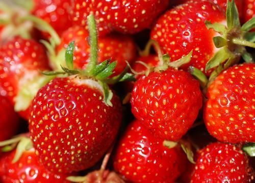 人到中年想长寿,常吃3种食物,健脑益智,降压降脂,增强免疫力