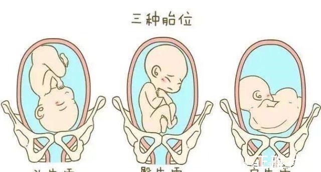 胎儿|准妈妈肚子何时“偷偷”变大的孕期是否显怀，跟4个因素有关