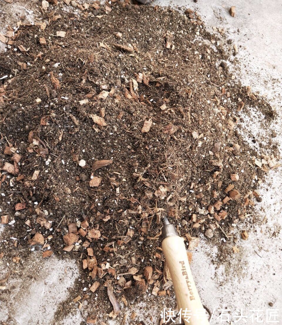 用“木屑”养花是宝贝，但是一定要提前做好“1步”，才能用