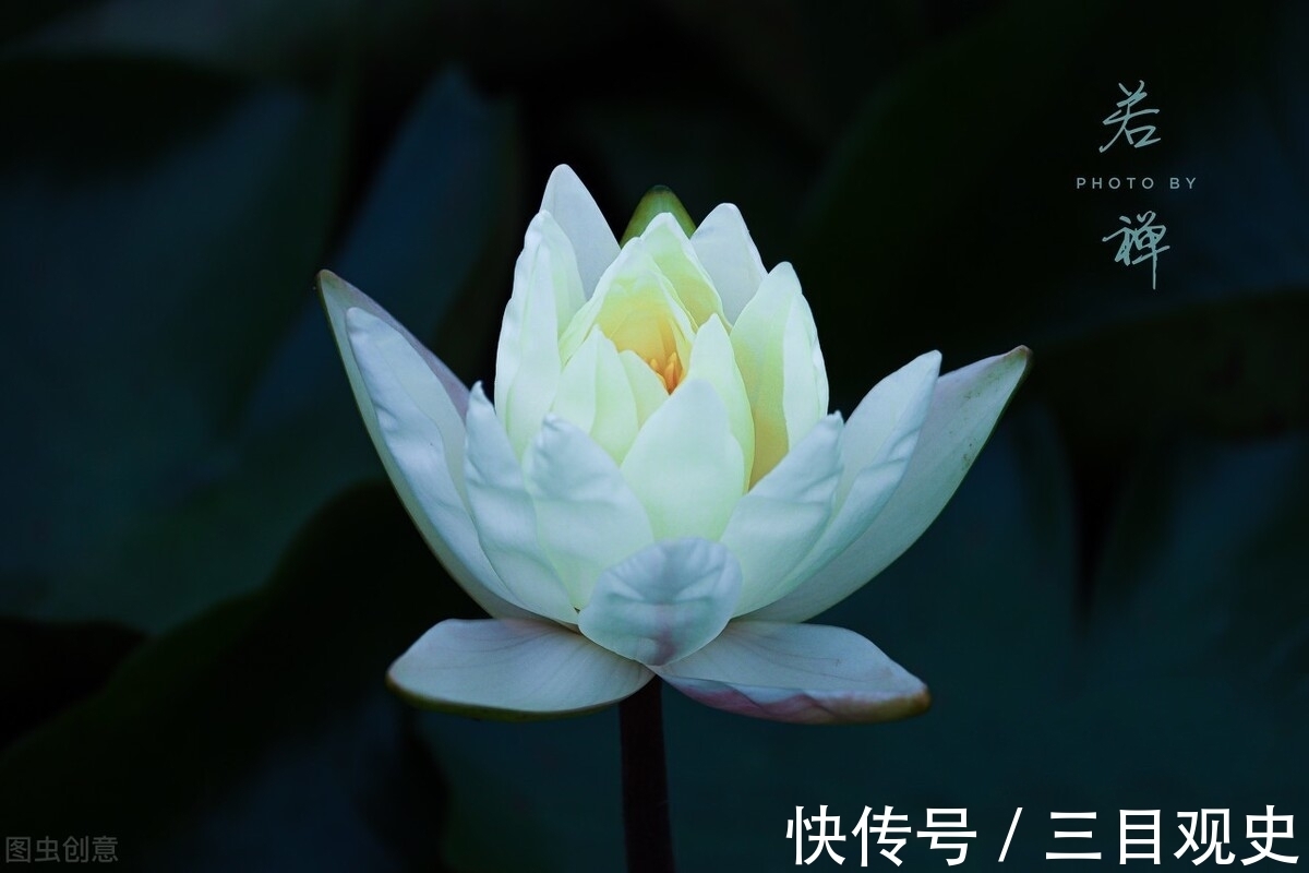 吴王&《韩非子》:不要对邪恶抱有侥幸心理,及时止损才是智者