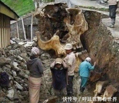 巨人族是否真实存在 所谓的 证据 是真是假 快资讯