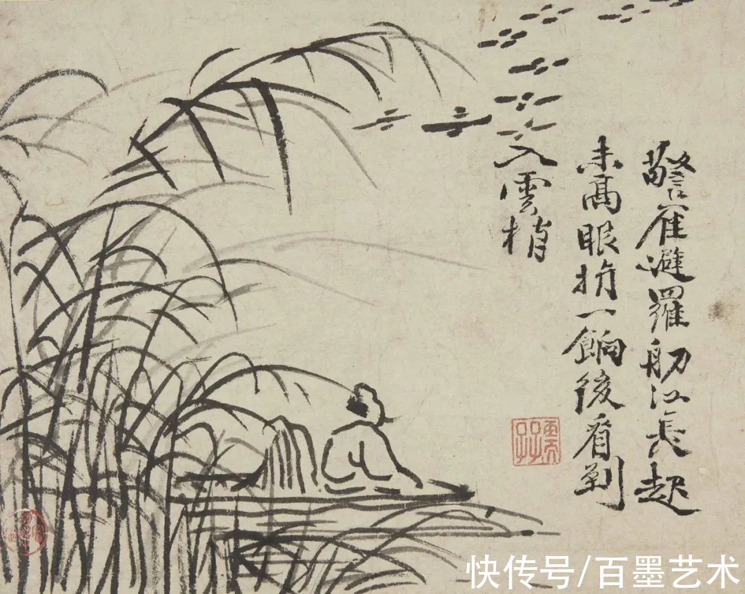 萱花#欣赏 | 草书入画，爽心悦目