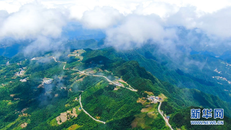 屋脊|“鄂西屋脊”绿葱坡打造高山运动休闲小镇