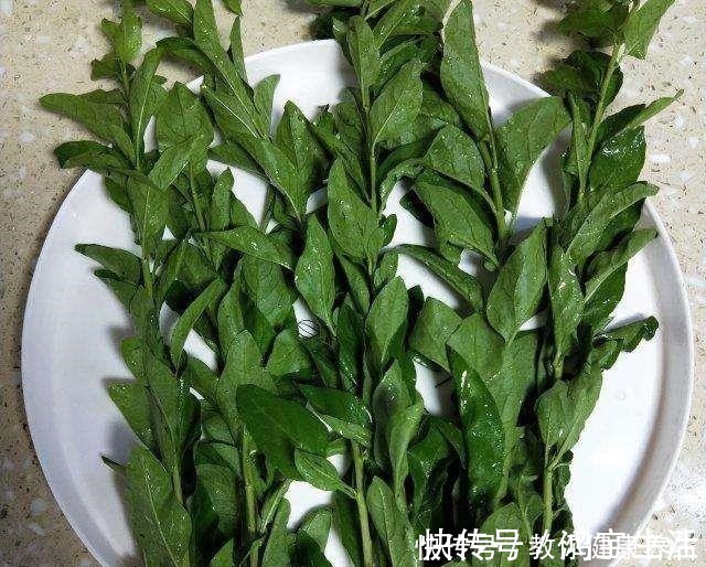 养肝护眼|它才是“护肝菜”,一周吃3次,营养极高,养肝护眼,肝脏变健康