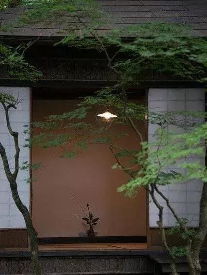 自在|院子里喝茶图个自在