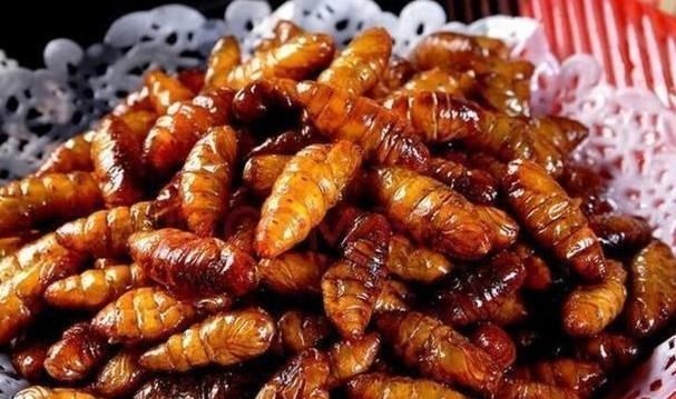 桑葚|建议中老年人:少吃肉少喝酒,多吃下面“几物”,强过天天喝鸡汤