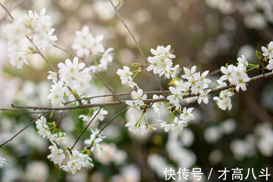 骑马射箭&8首“不服老”诗词：心若年轻，何惧沧桑