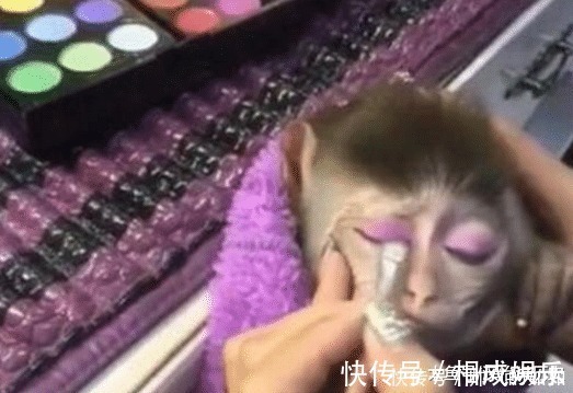 女孩|女孩给小猴子化个公主妆,当它睁开眼的那一刻,心都要化了