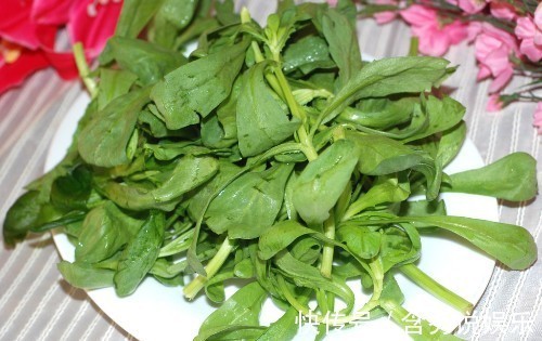 鲜茼蒿|立秋后,不妨多吃此野菜,润肠通便,清虚热,吃到就是捡到宝!