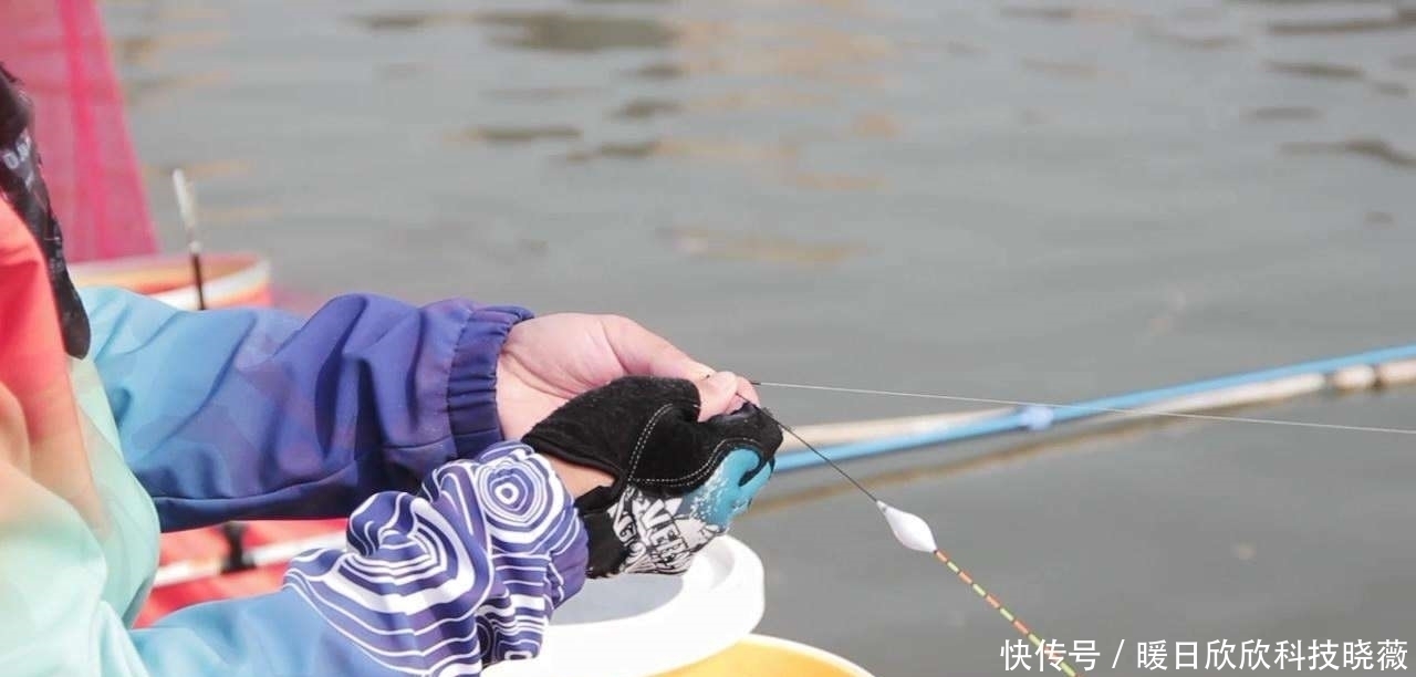 钓鱼|小杂鱼闹窝浮漂信号乱,钓鱼新手很头疼,其实解决办法很简单