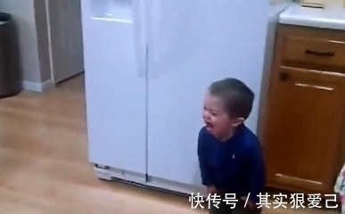 儿子|爸爸哄2岁儿子,称给宝宝买个妹妹,小男孩的反应绝了