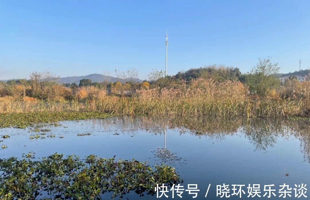 钓友|鱼起浮晒太阳不咬钩怎么办!老钓友给你支招