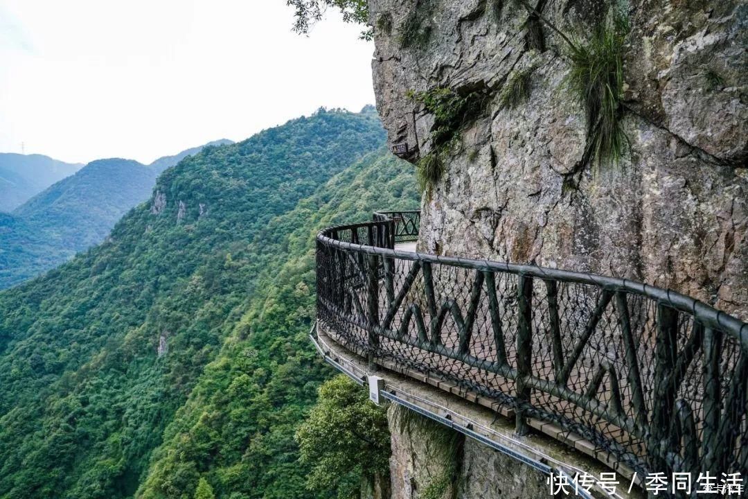 漂流|这个浙江宝藏小城，藏着碧海蓝天、森林秘境、宁静村落