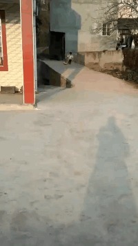 |搞笑GIF段子:关键时刻要懂得随机应变,尤其是面对强者的时候