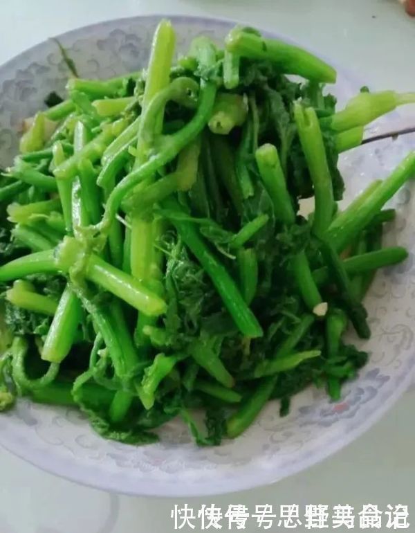 小蛮腰|某菜是个宝,隔三差五吃,排湿安眠,可惜很多人都扔了