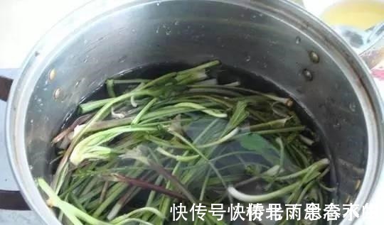 车前草|它是炎症的克星, 是草药, 还可当菜吃!它是炎症的克星, 是草药, 还可当菜吃！