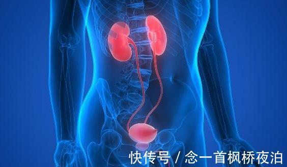 三阴经|每天踮脚走15分钟，坚持一段时间，这四个“问题”可能悄悄不见