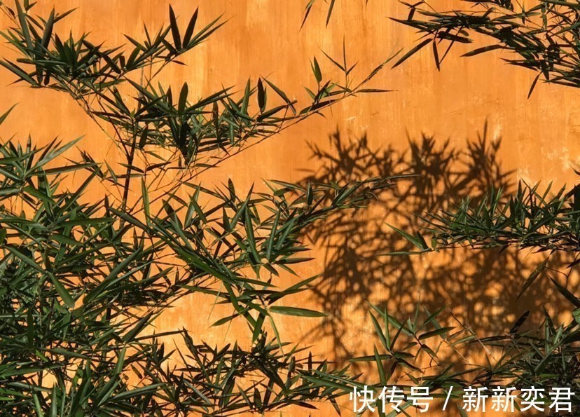 扇子&纳兰性德的词,何时秋风悲画扇,谁成了一把扇子?