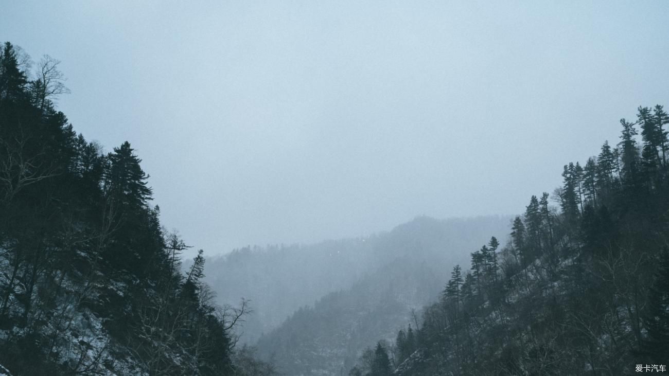 老年|在寂静雪原 遇见雪花真实的形状