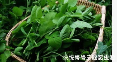 竹笋|再贵都要买来吃的9种健康蔬菜,不需要打农药,常吃远离疾病