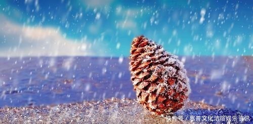 咏雪|白居易深夜被冻醒，写下一首20字小诗，新颖别致，被誉为咏雪佳作