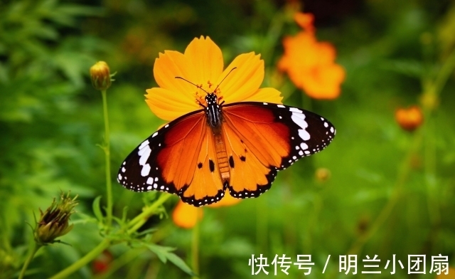 运命论|做人,可以精明,但不能“过头”