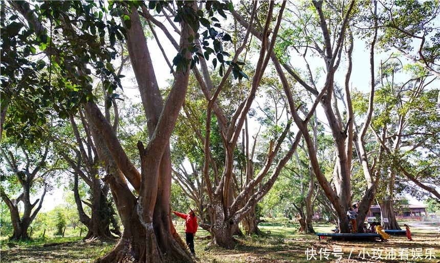 旅行奇遇记，这里有7624座佛塔，消失800年后，又神秘出现