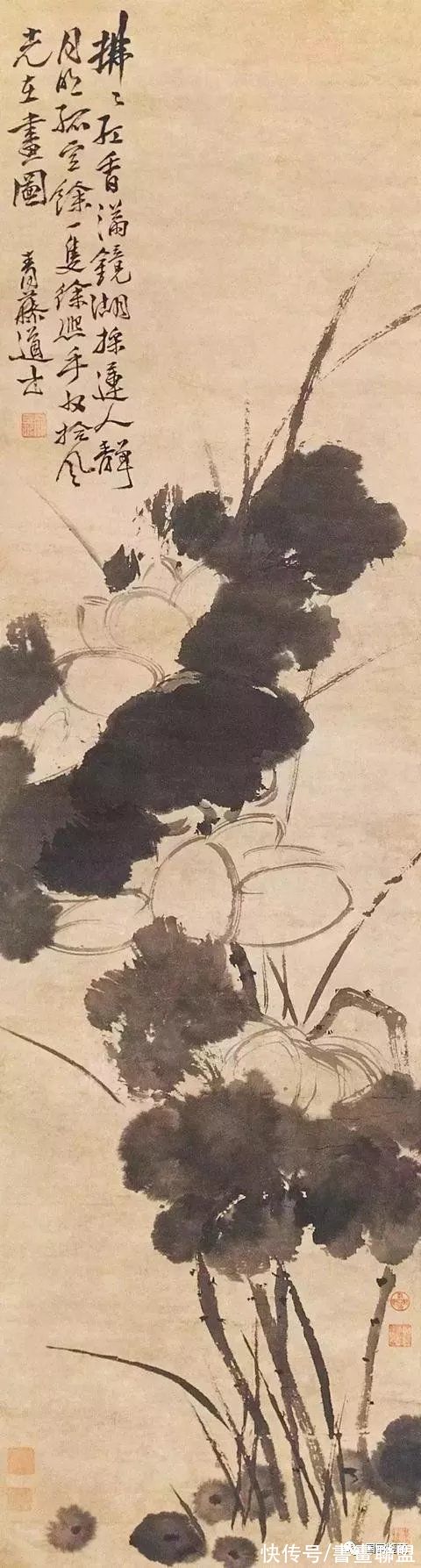 花鸟画$写意鼻祖:花鸟画——徐渭